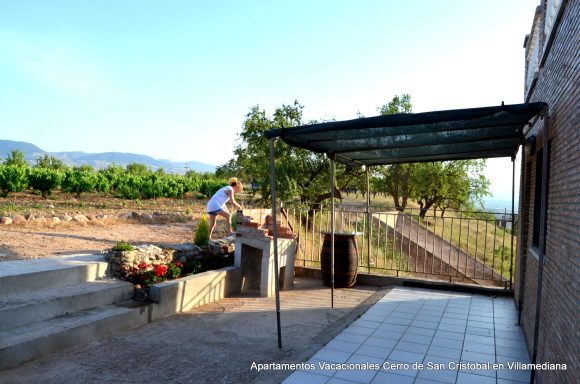 Una mujer recoge flores cerca de un patio con vistas a un viñedo y montañas al fondo.